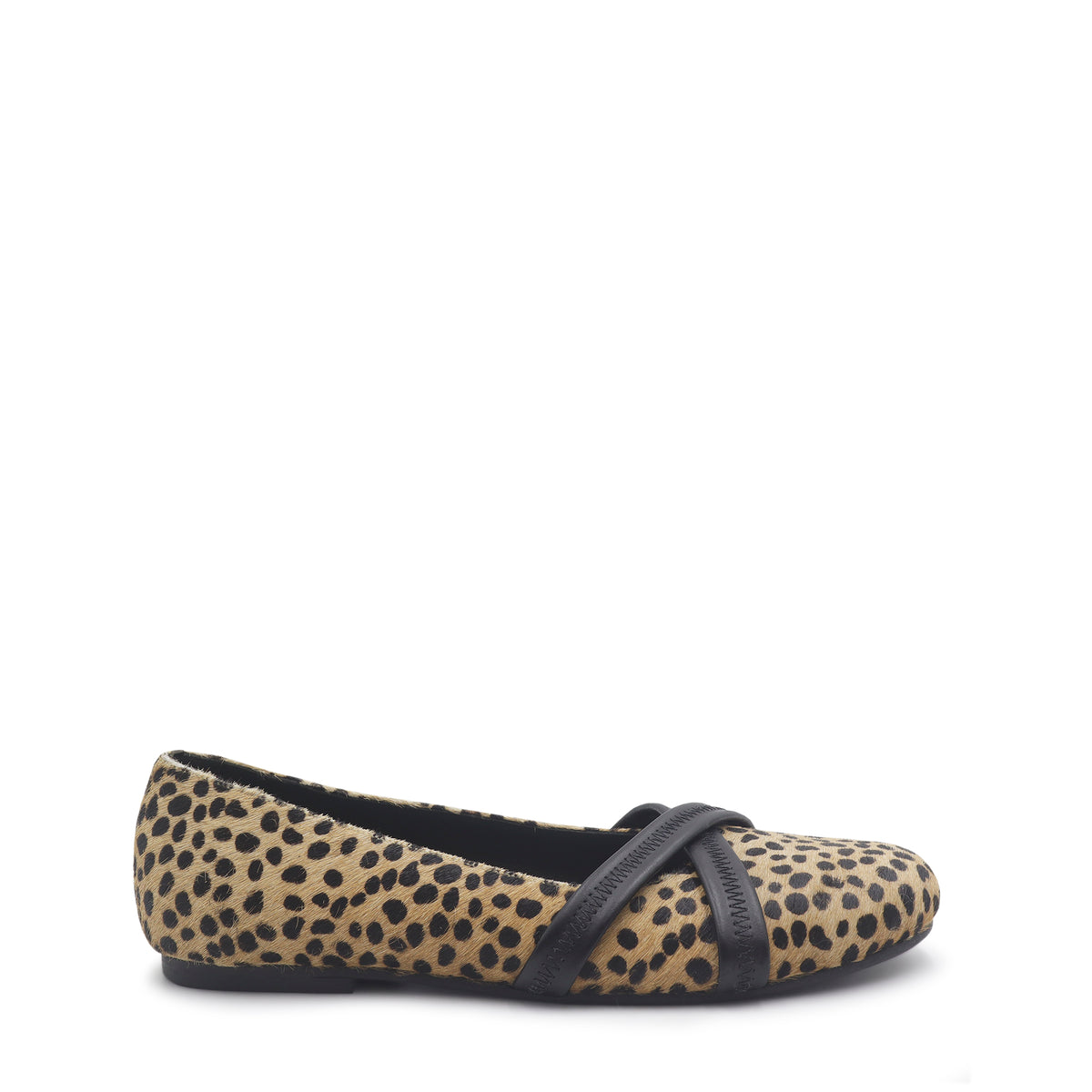 fran animal print