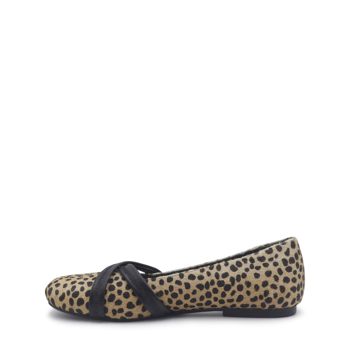 fran animal print